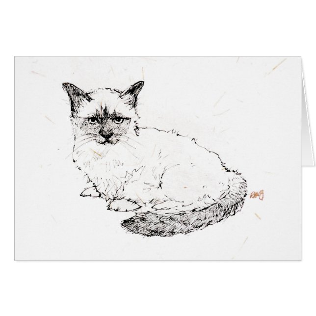 Gatito de Ragdoll (Anverso (Horizontal))