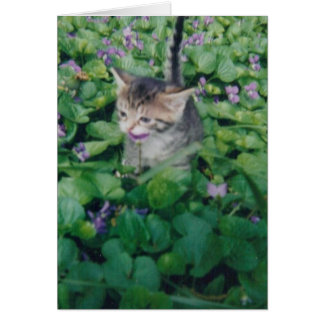 Gatito De Tabby Con Sonrisa Violenta