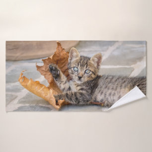 Gatito de Tabby lindo jugando con una hoja -