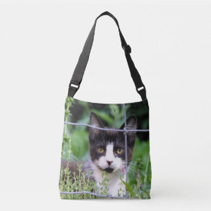 Gatito de Tuxedo en la bolsa de cadáveres de los j