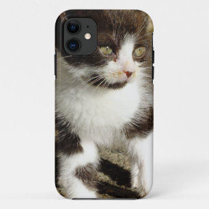 Gatito de Tuxedo para bebé - Funda para iPhone par