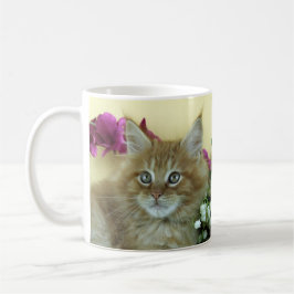 Gatito del Coon de Maine de la taza