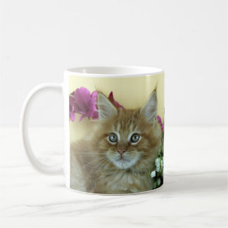 Gatito del Coon de Maine de la taza