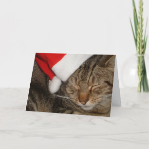 Gatito del navidad