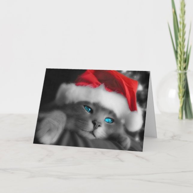 Gatito del navidad (Anverso)