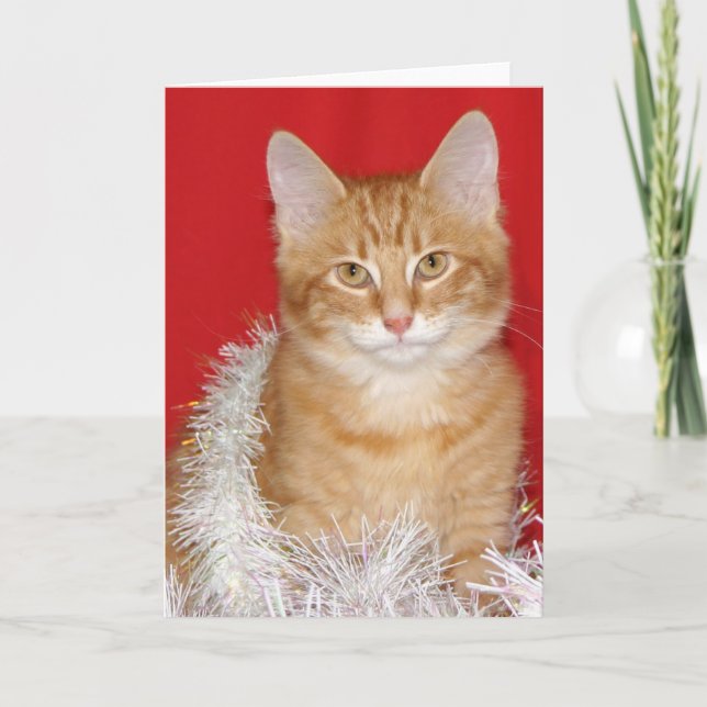 Gatito del navidad (Anverso)