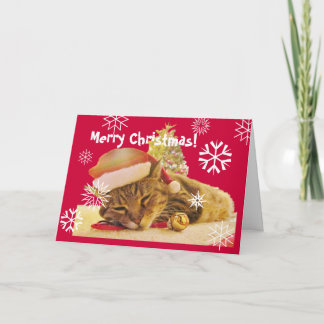 Gatito del navidad