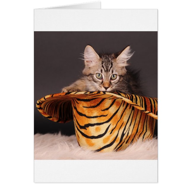 Gatito del rollo del n de la roca (Frente)