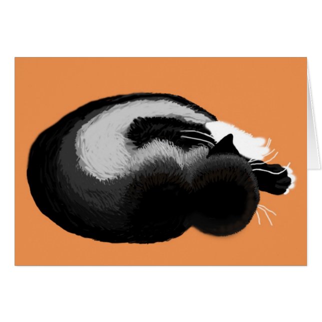 gatito dormido (Anverso (Horizontal))