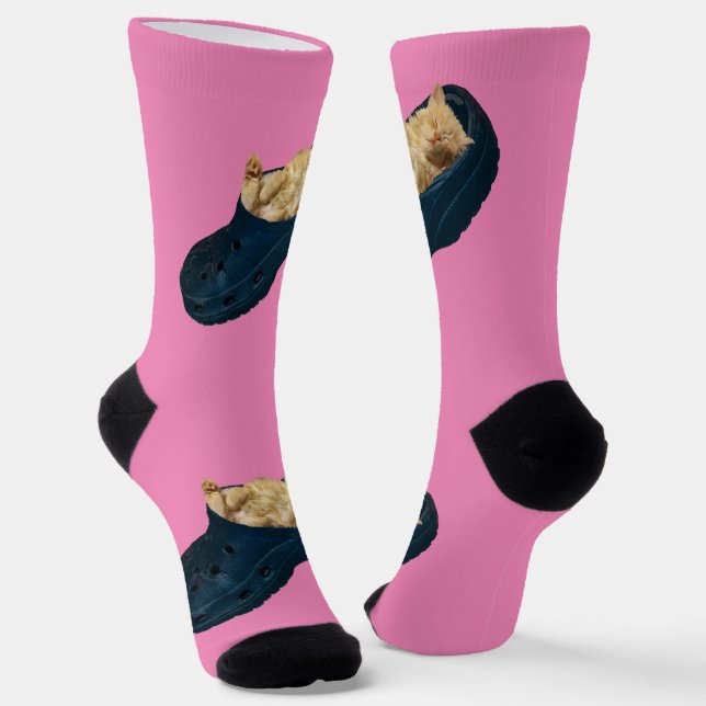 Gatito Dormido En Zapatos De Croc, Calcetines De T (Angular)
