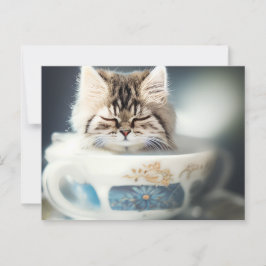 Gatito durmiendo en una taza de té - postal para g