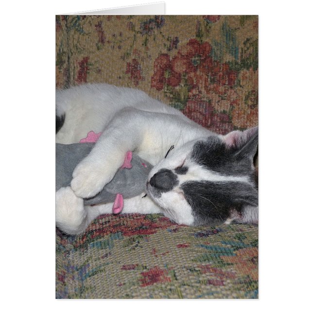 Gatito durmiente (Frente)