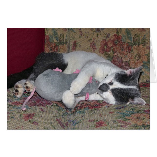 Gatito durmiente (Anverso (Horizontal))