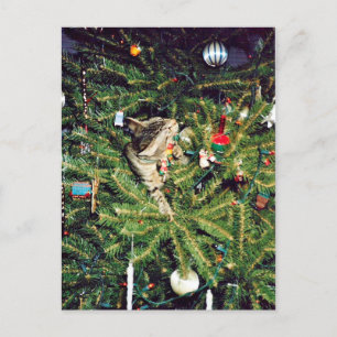 Gatito en el árbol de Navidad