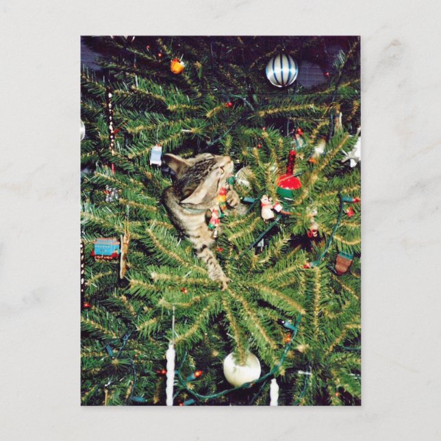 Gatito en el árbol de Navidad (Anverso)