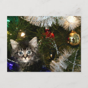 Gatito en el árbol de Navidad