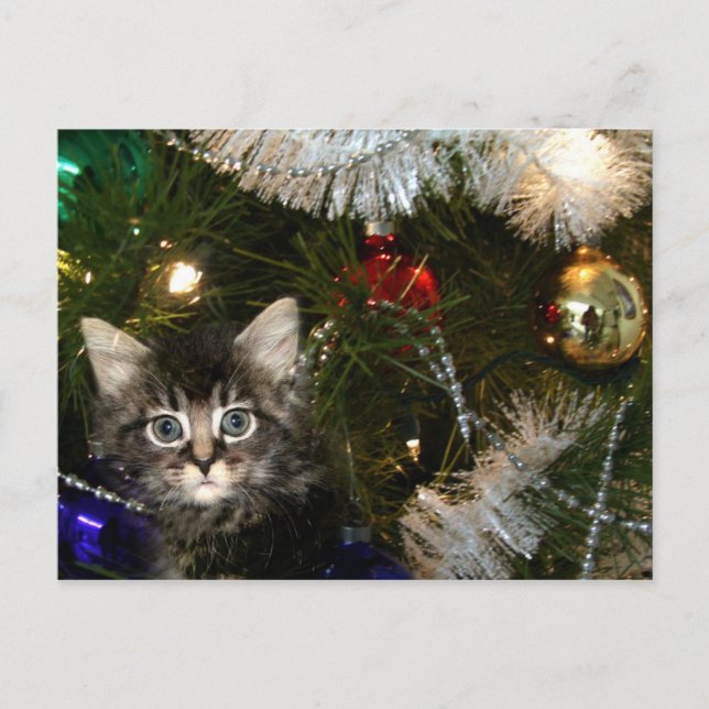 Gatito en el árbol de Navidad (Anverso)