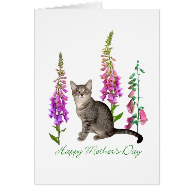 Gatito en Foxgantes Tarjeta del Día de la Madre (Frente)