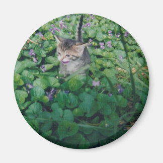 Gatito en imán violeta