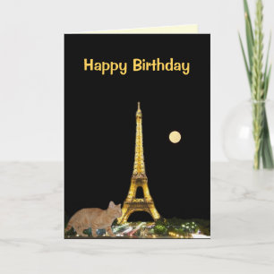 Gatito en la sonda de la tarjeta nocturna de París