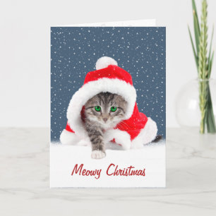Gatito en Navidades Tarjeta Santa Hat y Snowflakes