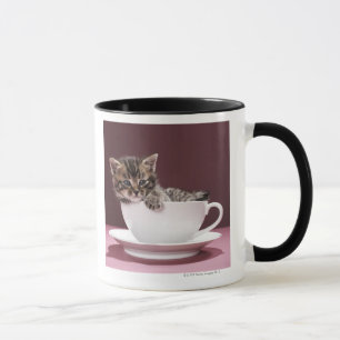 Gatito en taza y platillo