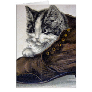 Gatito en un zapato