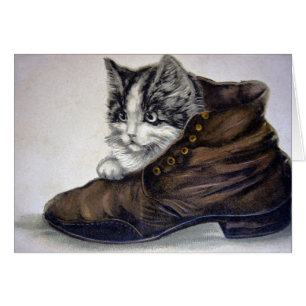 Gatito en un zapato