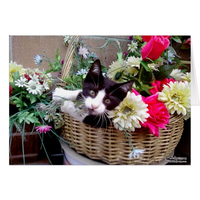 Gatito en una cesta (Anverso (Horizontal))