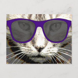 gatito fresco con gafas de sol postales