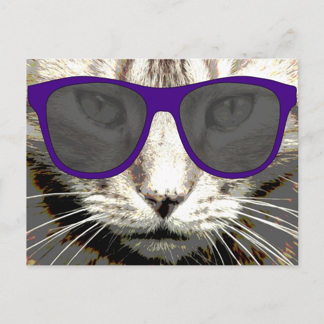 gatito fresco con gafas de sol postales (Anverso)