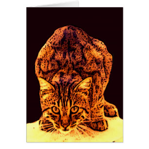 GATITO GATO SALVAJE