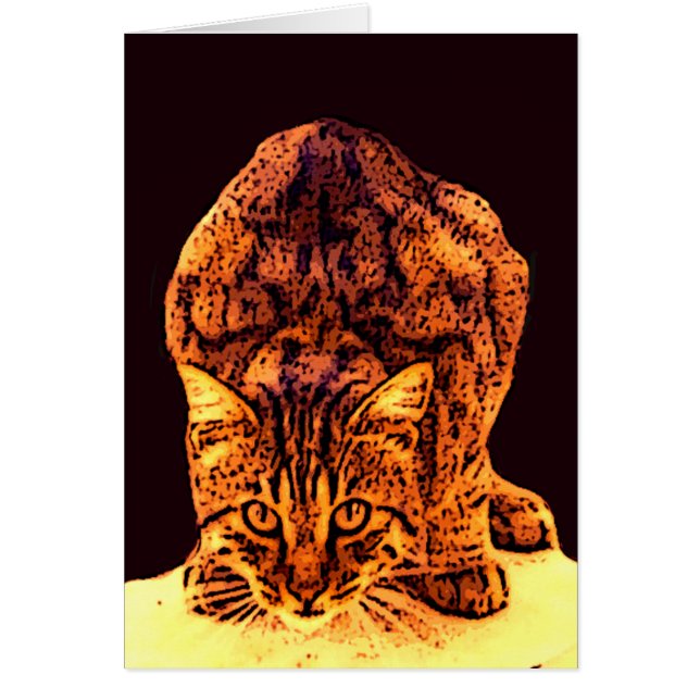 GATITO GATO SALVAJE (Frente)