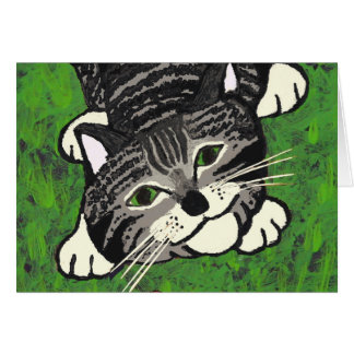 Gatito juguetón del Tabby