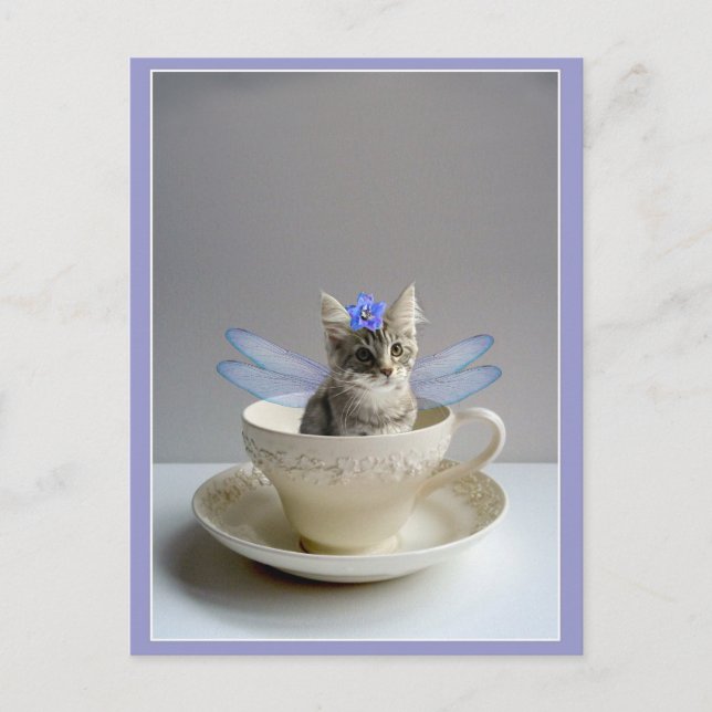 Gatito lindo en postal de la taza de té (Anverso)
