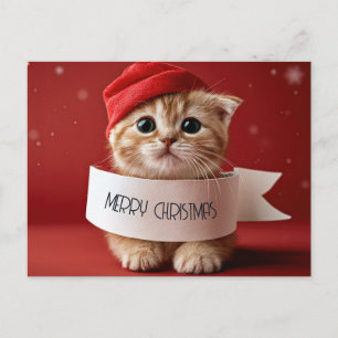 Gatito Lindo Navidad Roja
