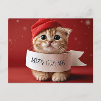 Gatito Lindo Navidad Roja