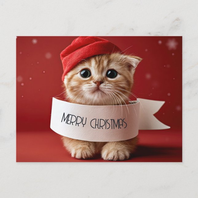 Gatito Lindo Navidad Roja (Anverso)