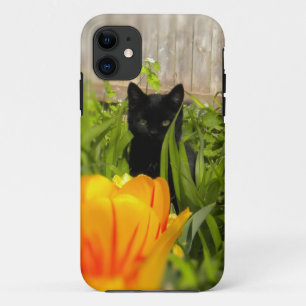Gatito negro en el Funda del iPhone 5 del jardín