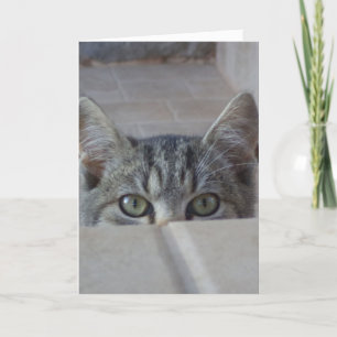 Gatito Peek-a-boo tarjeta en blanco
