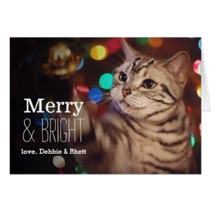 Gatito que ayuda con el árbol de navidad