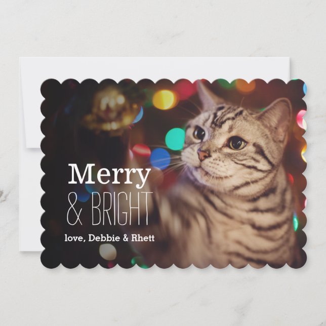 Gatito que ayuda con el árbol de navidad (Anverso)