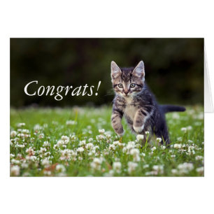 Gatito que corre a través de trébol