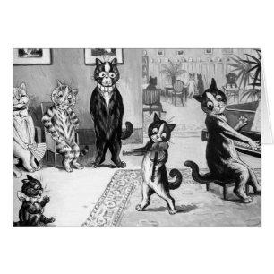 Gatito que da un decreto