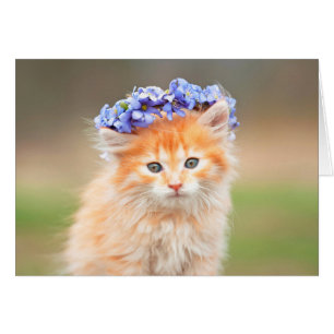 Gatito que lleva una guirnalda púrpura