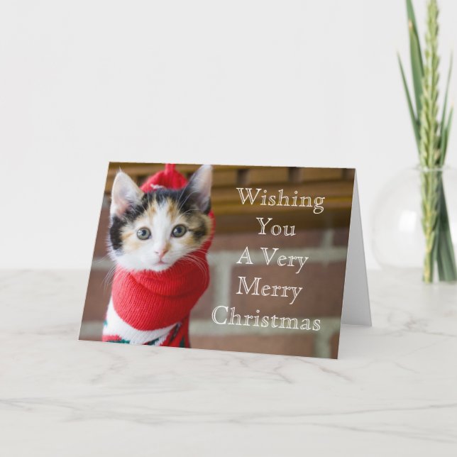 Gatito rojo del navidad (Anverso)