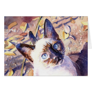 Gatito siamés