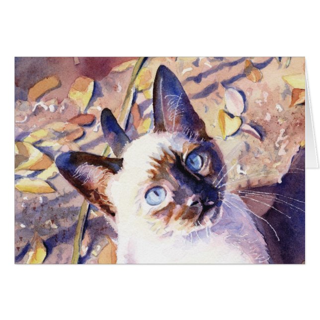 Gatito siamés (Anverso (Horizontal))