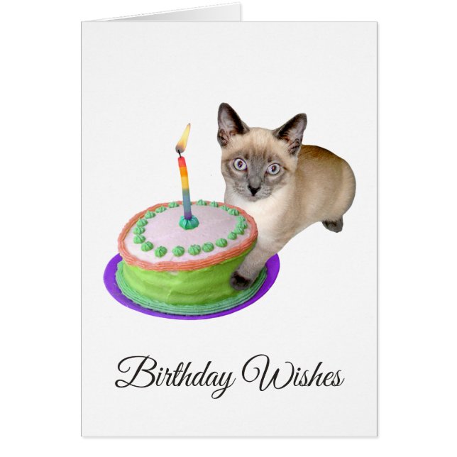 Gatito siamés con tarjeta de cumpleaños para paste (Frente)