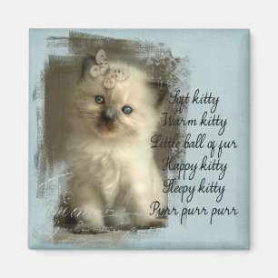 Gatito suave, imán de ragdoll